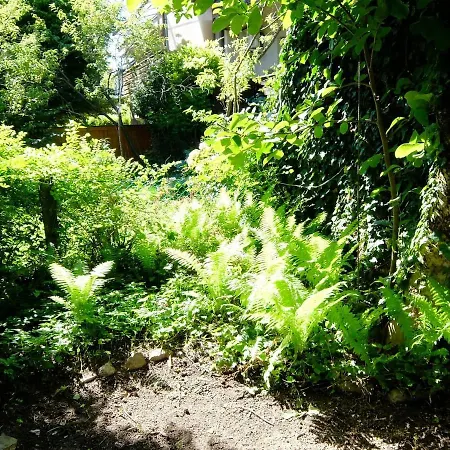 דירה Blossoming Hidden Nest With Garden